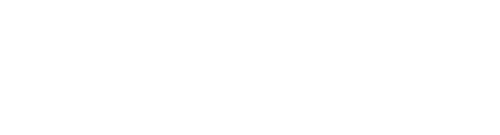 lionexpo-logo-3